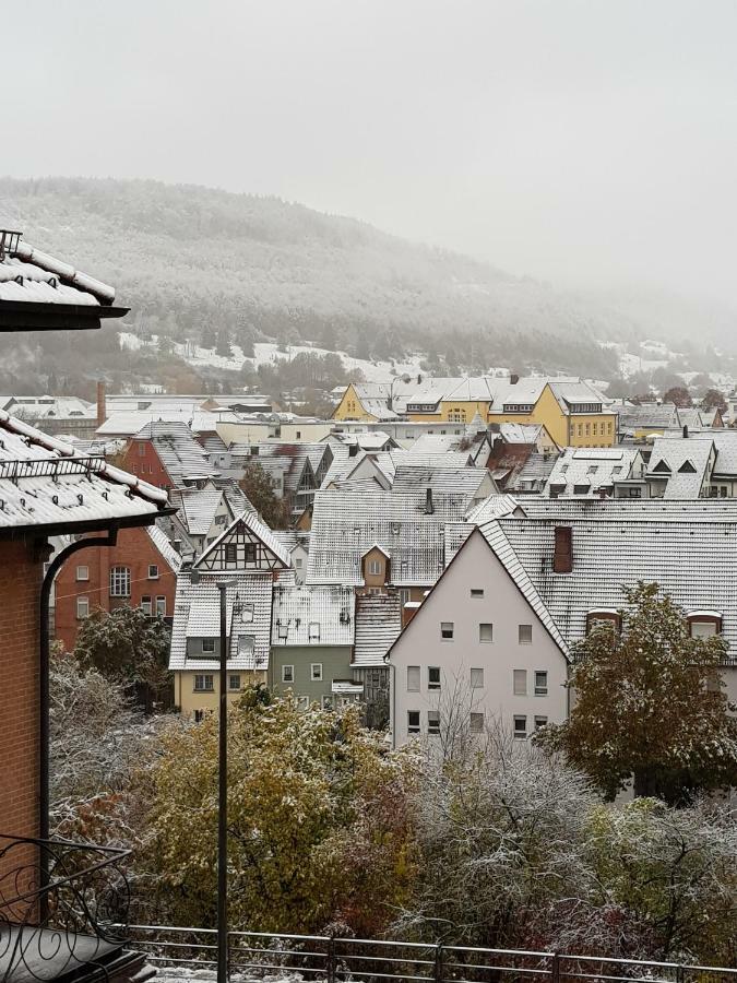 Ferienwohnungen Albstadt Esterno foto